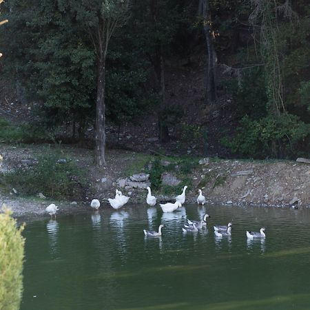 Tenuta La Bandita Sassetta Exterior foto