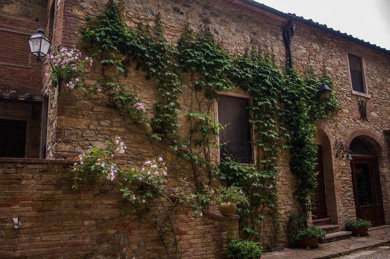 Tenuta La Bandita Sassetta Exterior foto