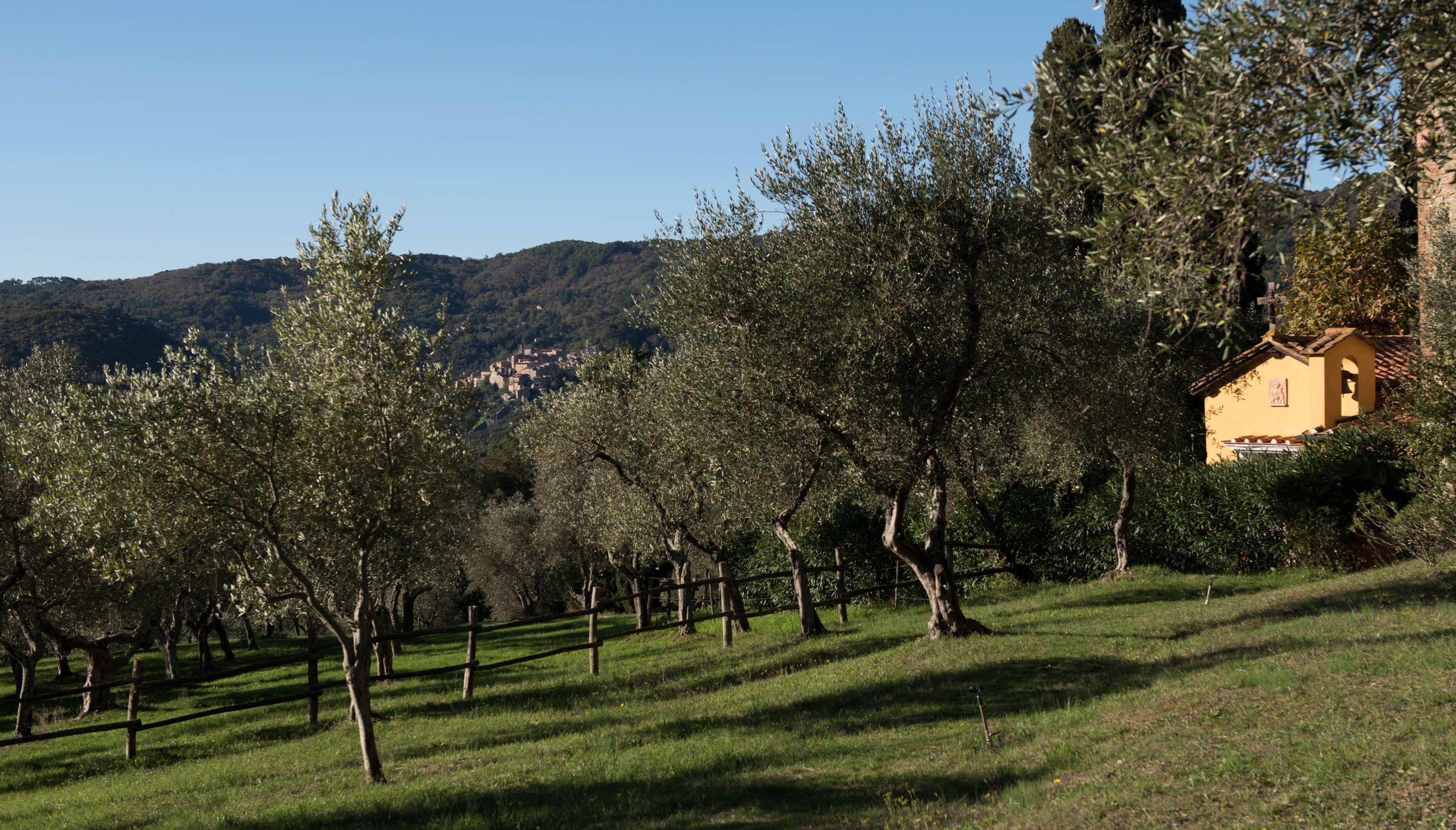 Tenuta La Bandita Sassetta Exterior foto